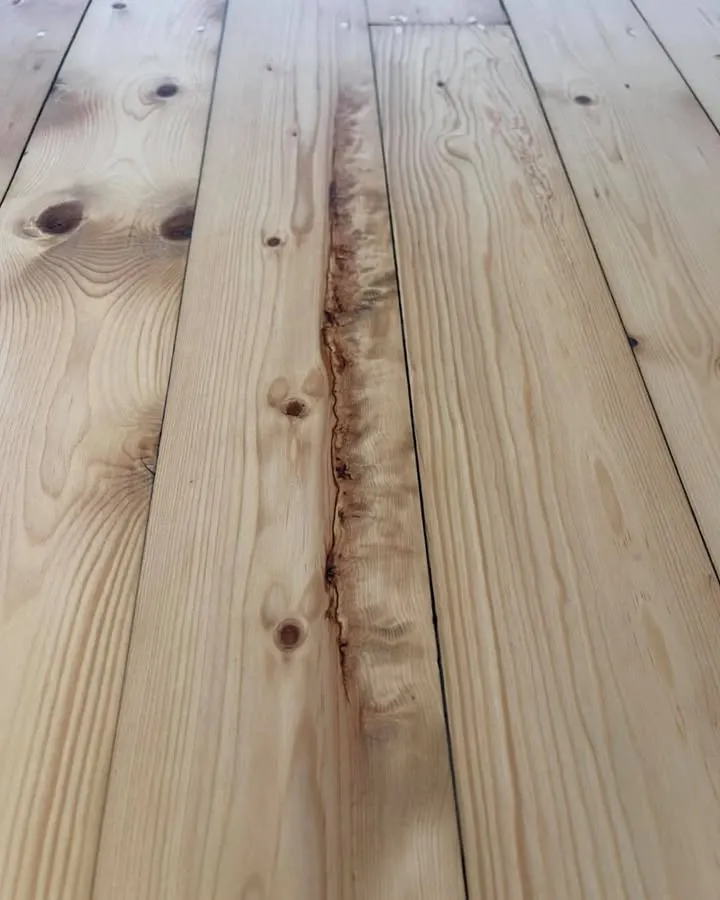 Floor by Sap & Grain